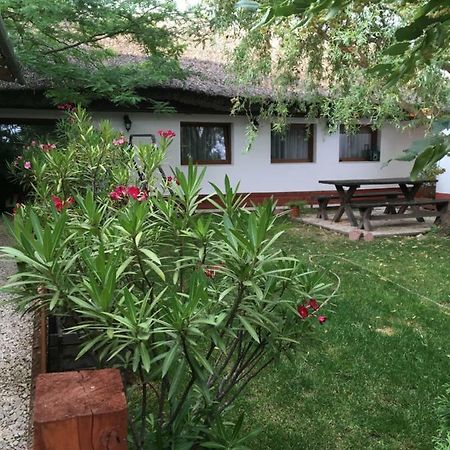 Balatonkenesei Nadfedeles Lovas Vendeghaz Villa Ngoại thất bức ảnh