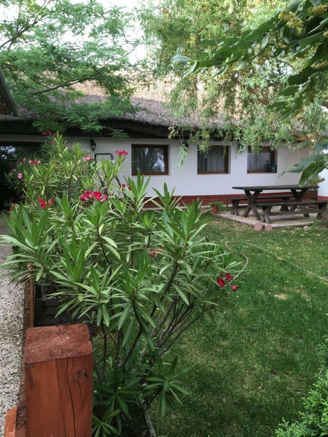 Balatonkenesei Nadfedeles Lovas Vendeghaz Villa Ngoại thất bức ảnh
