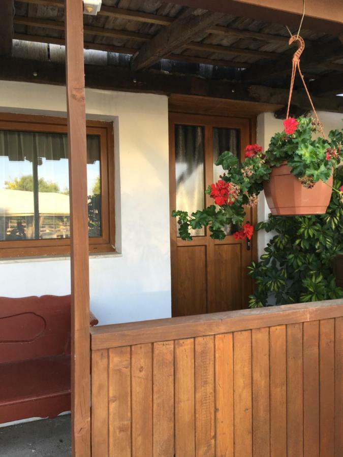 Balatonkenesei Nadfedeles Lovas Vendeghaz Villa Ngoại thất bức ảnh
