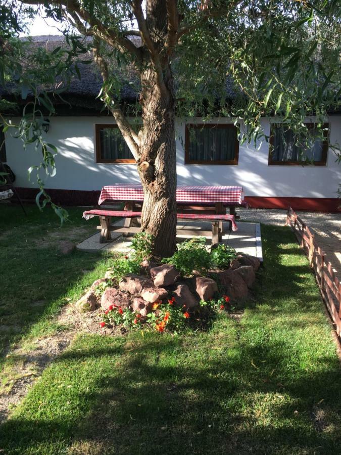 Balatonkenesei Nadfedeles Lovas Vendeghaz Villa Ngoại thất bức ảnh